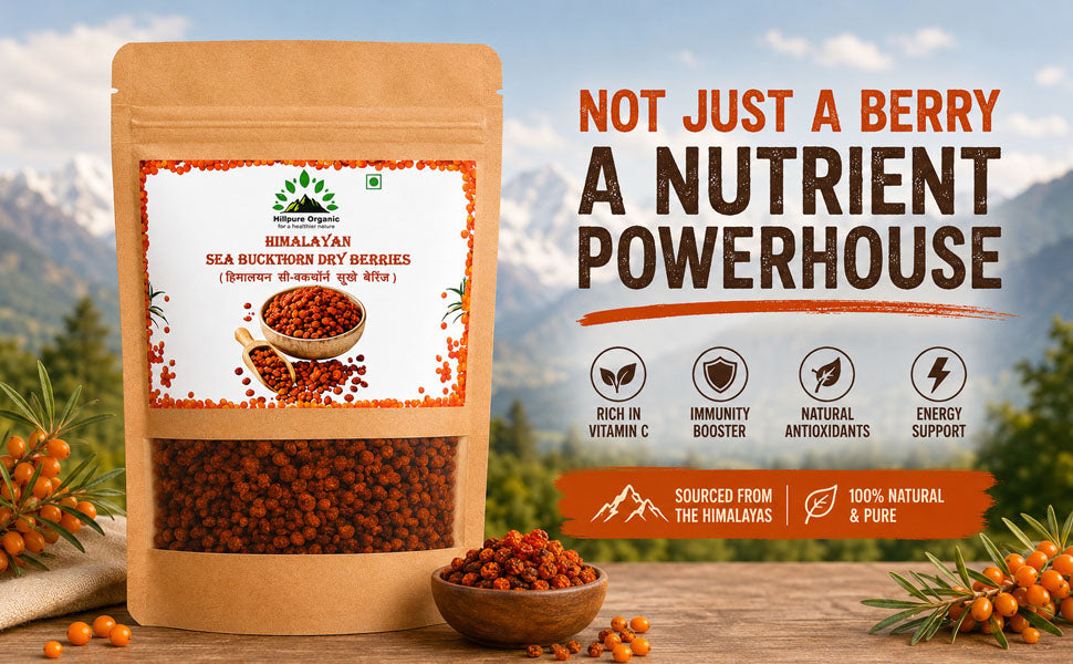 Himalayan Sea Buckthorn Dried Berries | Benefits, Uses & Recipes | Hillpure Organic