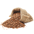 Healthy Seeds