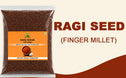 Hillpure Organic Ragi (Nachani) Whole Seeds – 1 kg Natural Whole Ragi | Gluten-Free Millet Grain | No Added Chemicals | No Pesticides | Healthy Ancient Grain from Uttarakhand