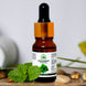 Hillpure Organic Peppermint Essential Oil – 10 ml  Pure & Natural Peppermint Essential Oil | For Hair, Skin & Aromatherapy | Premium Glass Bottle with Dropper