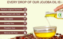 Hillpure Organic Cold Pressed Jojoba Seed Oil,100% Pure & Natural for Face, Hair & Body (65 ml, Glass Bottle)