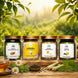 Green Tea 150 g + Chamomile Tea 50 g + Lemongrass Tea 75 g + Nettle Tea 50 g | Natural Herbal Tea Collection from Uttarakhand