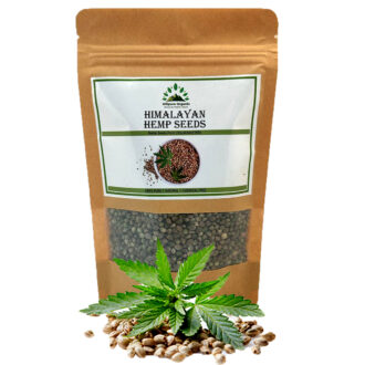 Hillpure Organic Himalayan Hemp Seed | Whole with shells | Source of Plant Based Protein | From Uttarakhand ( 175 GM )